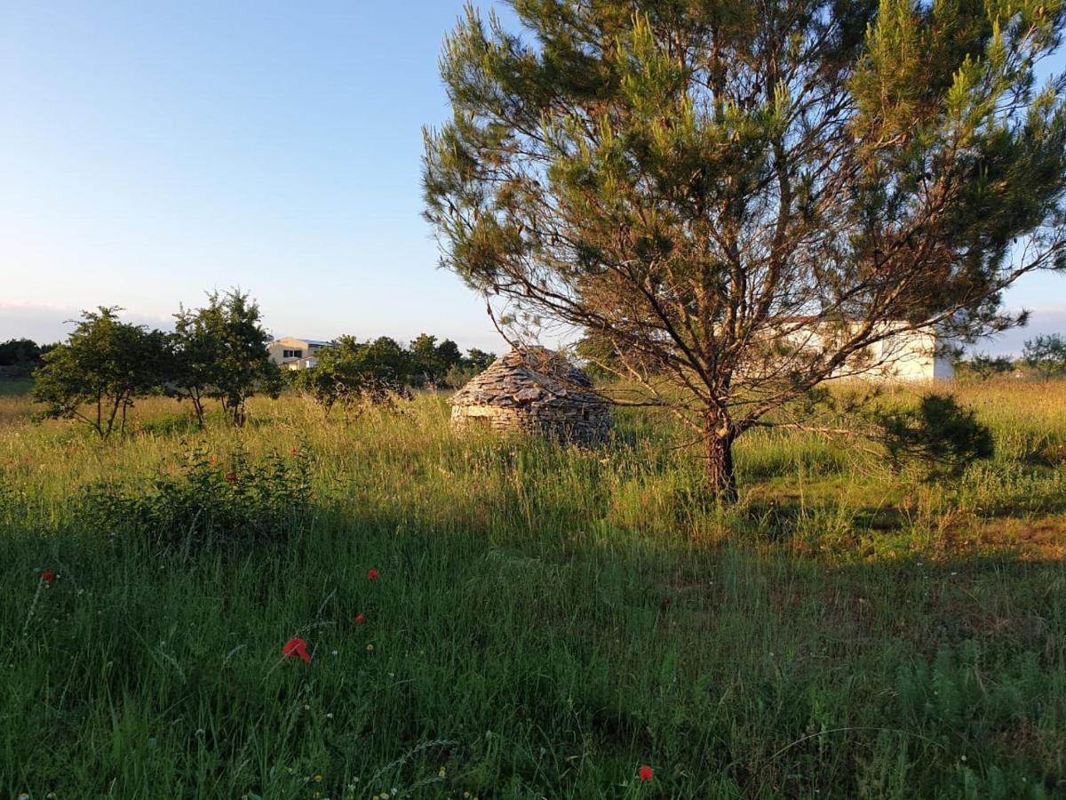 Villa Istra Divšići Zewnętrze zdjęcie