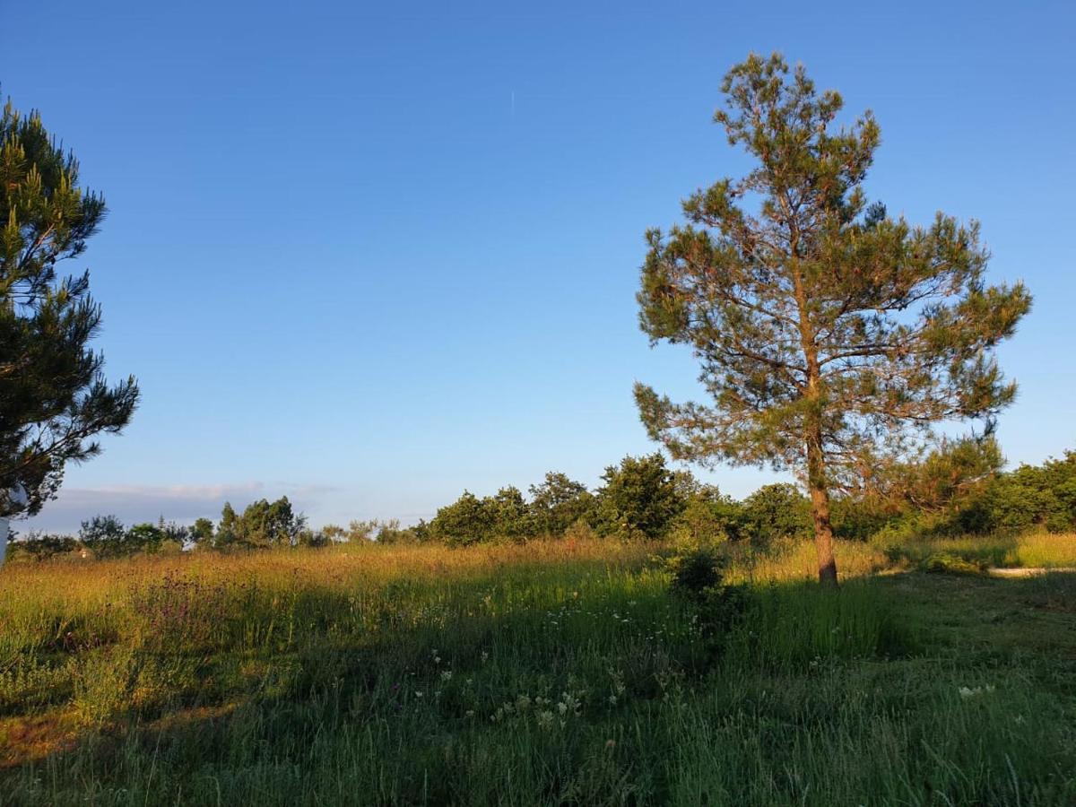 Villa Istra Divšići Zewnętrze zdjęcie